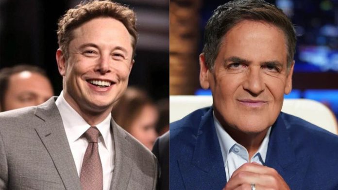 Duelo de multimillonarios: Elon Musk hace campaña por Trump y Mark Cuban por Harris