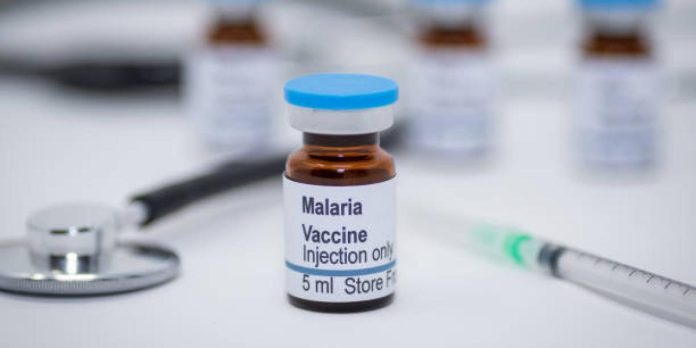 Los anticuerpos maternos interfieren en la respuesta a la vacuna para la malaria del bebé