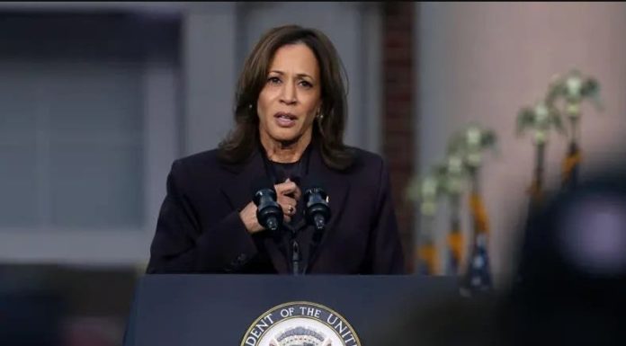 ¿Por qué perdió Kamala Harris las elecciones de EE.UU.?