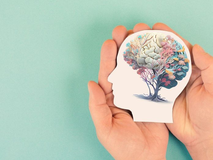 Entidades realizarán congreso en Salud Mental para todo público