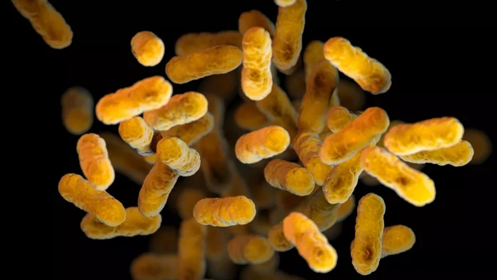 Nueva Zelanda declara una epidemia de tosferina tras registrar más de 260 casos