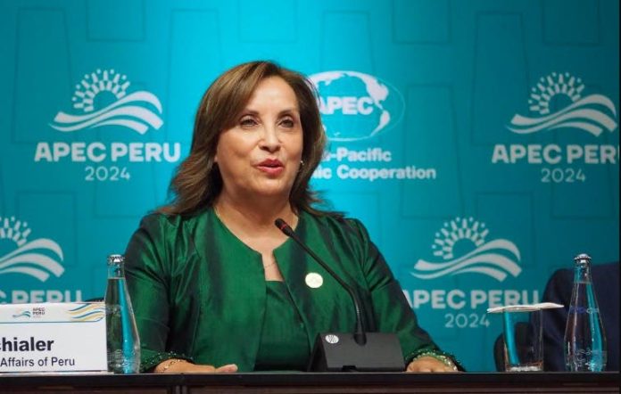 Investigan a presidenta de Perú por «abandonar su trabajo» tras operarse la nariz sin avisar