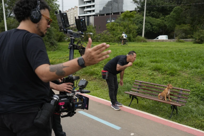 El perro «viralata» color caramelo: nuevo símbolo de Brasil y protagonista de una película