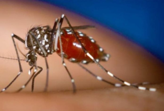 RD en lista países hubo más casos de chikungunya