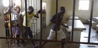 Aumenta la criminalidad haitiana en el país