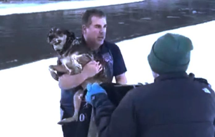 Vea aquí el dramático rescate de un perro de río helado en Vermont