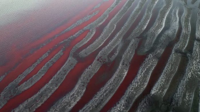 Arroyo teñido de rojo en zona industrial argentina reaviva temores de vertidos tóxicos