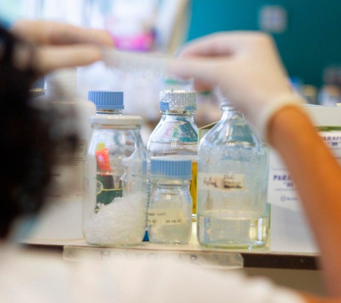 Descubren que un fármaco anticancerígeno actúa contra varios virus