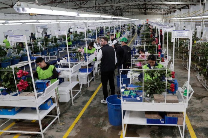 EE.UU. retrasa un mes los aranceles a Canadá y México tras obtener compromisos fronterizos