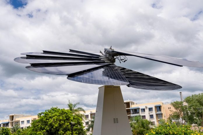 Energía y Minas y CNE exaltarán Día Mundial de la Eficiencia Energética