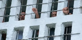 Por qué la progresía de café necesita que Cuba siga siendo una cárcel