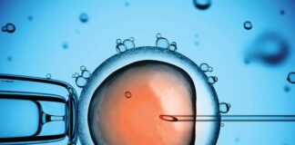 La congelación de óvulos preserva la fertilidad en mujeres a partir de los 35 años, según ginecóloga