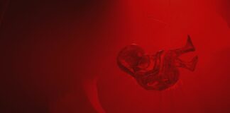 Crean máquina que podría iniciar la gestación fuera del cuerpo humano