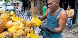 ¿Cuáles son las causas del bajo crecimiento de América Latina y el Caribe? Informalidad entre ellas