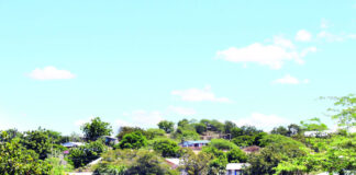 ¿Efecto PRM de destrucción de los recursos naturales? Policía permite que forajidos incursionen otra vez en Dunas de Baní y construyan decenas de viviendas