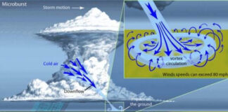 ¿Qué es una microrráfaga? El fenómeno que afectó Gascue con vientos superiores a los 100 km/h