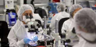 Auge de los sectores complejos. La casi silente transformación de las zonas francas del país