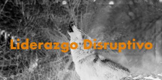 Cuando una nación se encuentra en el inquietante punto, de que sí no cambia sus estructuras y modifica radicalmente su liderato, empuja a que se presente un líder disruptivo que estremezca y recomponga su existencia. Lo que le está ocurriendo a EEUU y lo que con urgencia necesita República Dominicana
