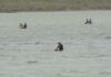 Familiares de pescadores desaparecidos en Montecristi reclaman una búsqueda aérea y marítima
