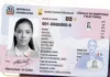 ¿Símbolos patrios en la nueva cédula respetan los diseños originales? JCE responde