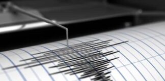 El Sismológico detecta al menos siete sismos tras temblor de magnitud 4.5 sentido en Las Terrenas