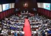 Corrupción entre legisladores: De la semilla al casabe: Los polémicos 20 “institutos” que han intentado crear los legisladores
