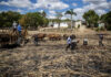 Organización exige que EE UU prohíba importaciones por trabajo forzoso en campos de caña de azúcar dominicanos (Central Romana)