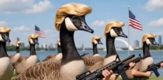 Así son los ‘Donald Duck’ armados de Trump que protegerán el lago América