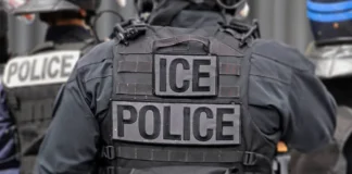 Trump endurece su ofensiva migratoria: ICE alcanza un récord de 49.571 detenciones en un solo mes