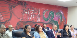 CMD se limitará a vigilar proceso judicial de médicos imputados en caso Senasa 2.0