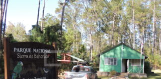 Nuevo incendio forestal afecta la Sierra de Bahoruco y amenaza zona del Hoyo de Pelempito