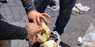 Aduanas incauta un cargamento récord de municiones en Haina que deja más preguntas que respuestas