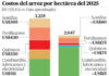 Diferencia de precios. Cifras muestran progreso y rezago del arroz dominicano. Productividad por hectárea y el costo por tonelada, sus dos retos