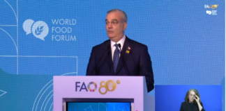 ¿Demagogia? Abinader dice ante la FAO que su plan ahora es combatir la malnutrición
