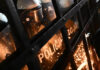 Tribunal Constitucional de Polonia denuncia «golpe de Estado» en medio de disturbios frente a su sede: ¿qué está pasando?