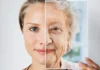Revelan por qué se acumulan las «células zombis» con la edad y cómo deshacerse de ellas