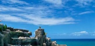 Las economías más solventes de América Latina también ofrecen las mejores condiciones para el turismo, según una clasificación hecha por el Foro Económico Mundial. Esta organización internacional con sede en Suiza, que realiza su reunión anual en Davos, recogió por casi dos décadas datos sobre la evaluación comparativa del sector de viajes, turismo y organización la información, los cuales incluyó en el Índice de Desarrollo de Viajes y Turismo (IDTT, por sus siglas en inglés). El eje central de este índice, según explican en un detallado documento, son «las condiciones que determinan la capacidad de un destino para atraer, apoyar y sostener el turismo de manera que genere beneficios para las economías y las sociedades». Los países ‘top’ para el turismo en América Latina En este índice mundial donde fueron incluidos 110 países. Las tres naciones de América Latina que encabezan este ‘ranking’ son Brasil, Chile y México. Brasil se encuentra en la casilla 32, con un puntaje de 4,41 sobre 7, que es la puntuación máxima. Pocos escaños después le sigue Chile, en el lugar 35, con una puntuación de 4,39; y detrás, en el renglón 41, está México con 4,31 puntos. En el cuarto lugar regional está Argentina, que en el índice mundial se sitúa en el puesto 48; en el quinto sitial está Costa Rica (51), mientras que la sexta plaza la tiene Colombia (54). Los puestos 7, 8 y 9 están ocupados sucesivamente por Perú, que está en el renglón 64 en el mundo; Panamá (65) y República Dominicana (66). En el lugar 10 ubicaron a Uruguay, que ocupa el sitio 71 en el mundo; seguido, varias casillas después, por Ecuador, en el puesto 11 regional (80 en el índice); le sigue Paraguay (85), El Salvador (87), Bolivia (92), Guatemala (94); Nicaragua (100) y Honduras (103). ¿Qué se tomó en cuenta? Entre los aspectos que se toman en cuenta en este índice está la existencia de un entorno propicio para el turismo, que garantice la seguridad, la salud e higiene, los recursos humanos, un mercado laboral cualificado y la competitividad de precios. Asimismo, se priorizan aspectos como la infraestructura para el turismo, los servicios turísticos y la infraestructura del transporte aéreo, terrestre y portuario. Además se toma en cuenta que el país cuente con el atractivo de recursos naturales, culturales y otros que no se relacionan con las actividades de ocio. Este índice también tiene en consideración que el turismo pueda ser sostenible, que se promueva la preservación de la naturaleza y que haya una abordaje eficiente de problemas como la contaminación. De igual manera, se contempla el impacto socioeconómico que puede causar el turismo. (RT)