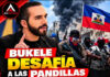 Con el consentimiento de Trump a su vasallo Bukele para que invada Haití, de inmediato un grupo de dominicanyork claman porque el salvadoreño “meta mano» a República Dominicana y aquí silencio