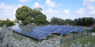 Peravia, Santo Domingo y La Romana dominan el aporte de energías limpias en el país